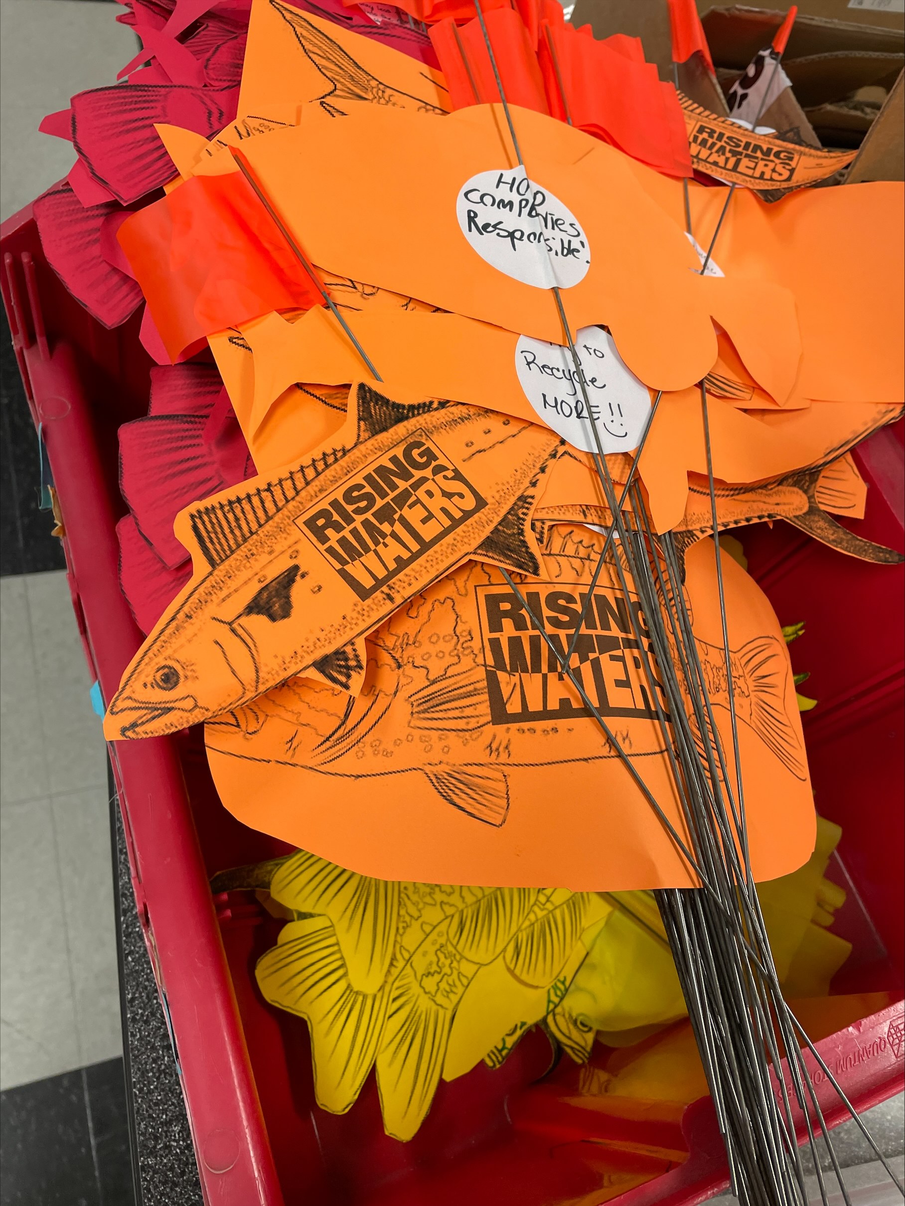 Action fish flags